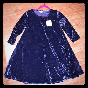 🦋 NWT Blue Velvet Dress